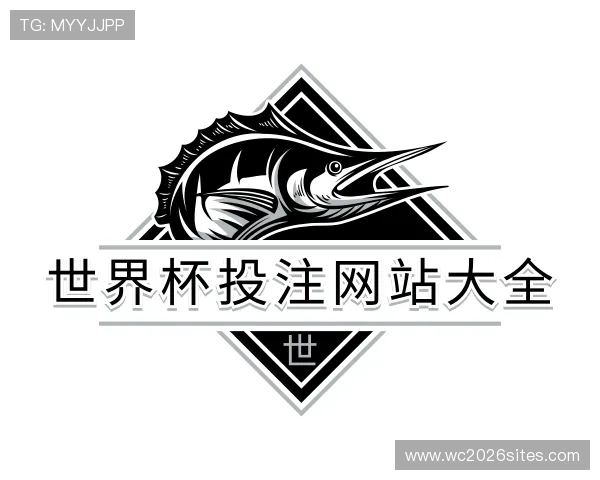 认识世界杯投注网站大全